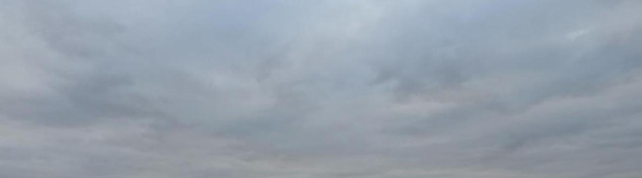 Gredi Nikollaj (DSN) M.Sc., M.A. | Founder & CEO DeepSeekNation | Ex-Audi / VW China | "Mr. Crypto"