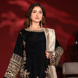Pakistani Party Wear Dresses